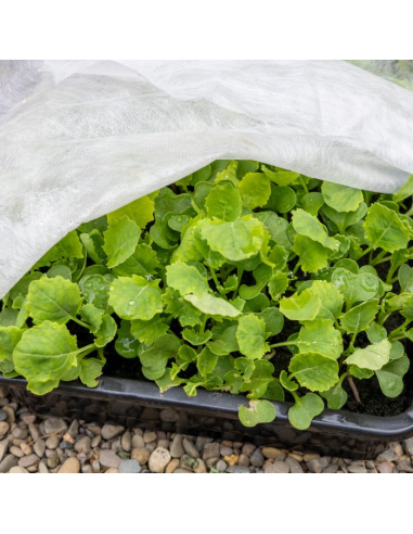 Zimná agrotextília biela 70 g 1,6x5 m